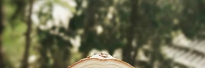 Malookh_121's profile banner image