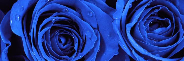 salutemeimmonae's profile banner image