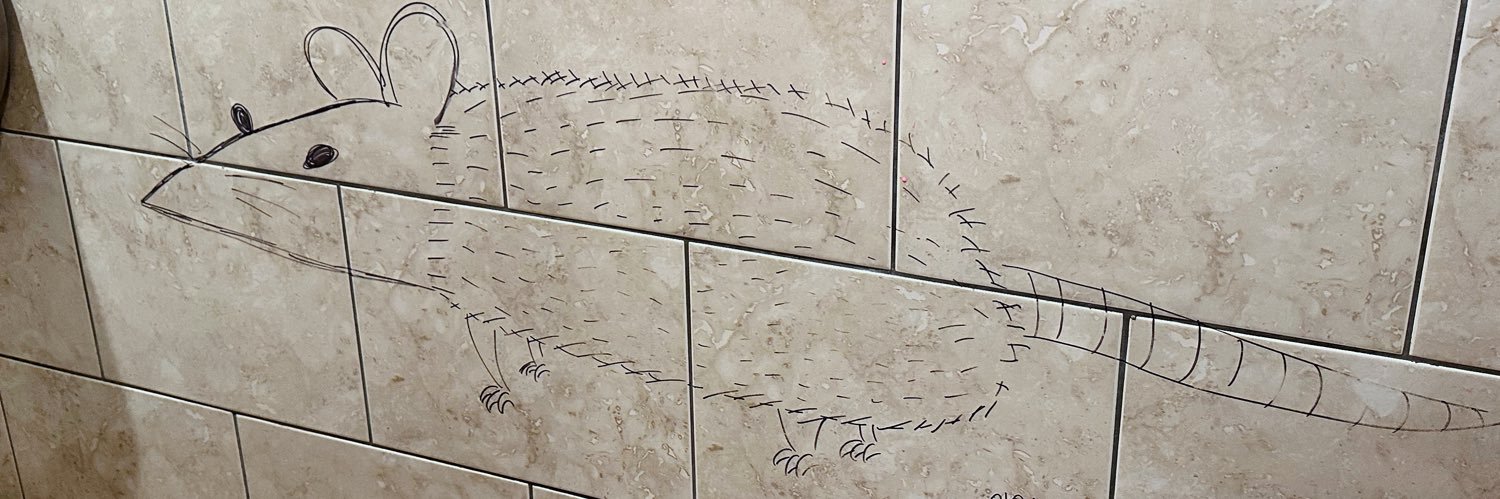 camryn manheim vibes banner