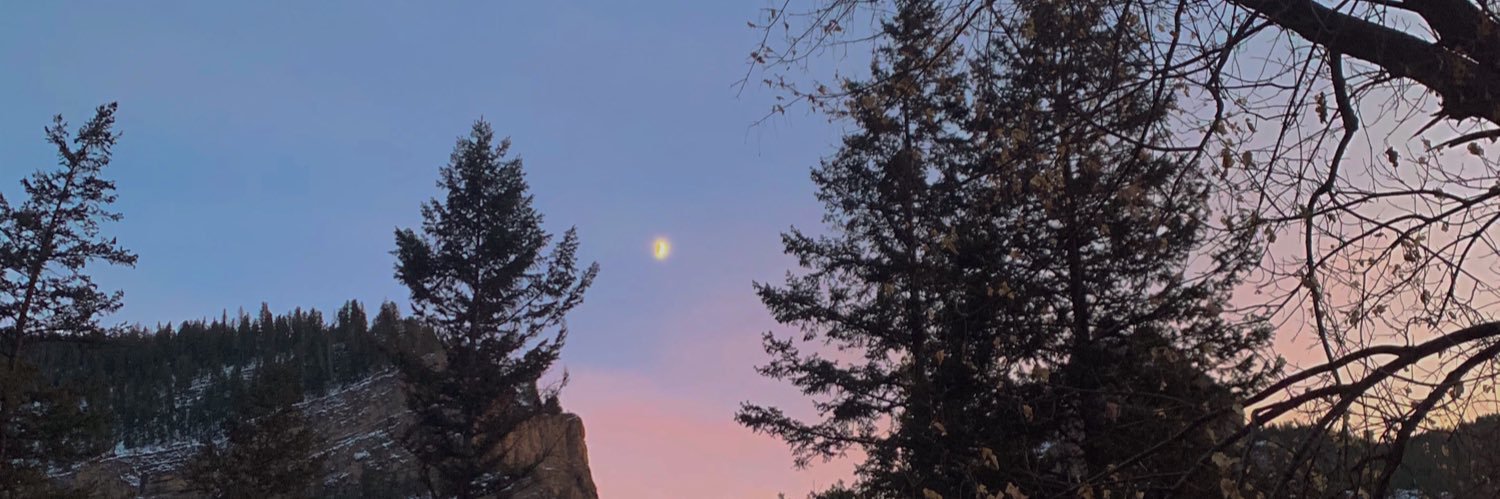 rhinaaleman's profile banner image