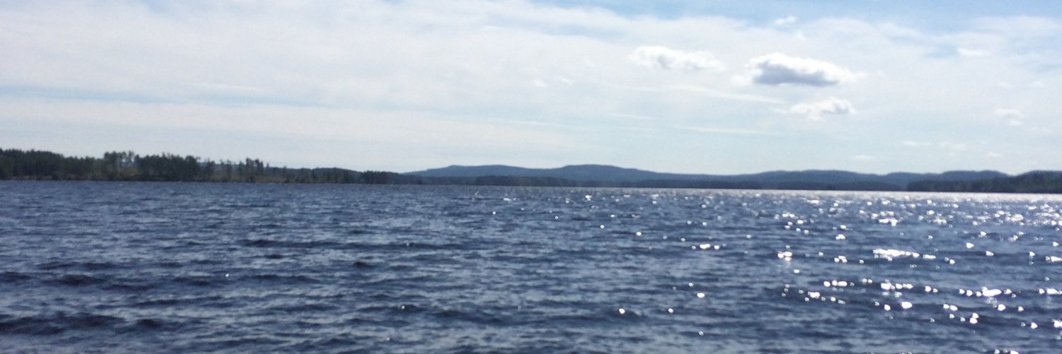 Elin Englöw banner
