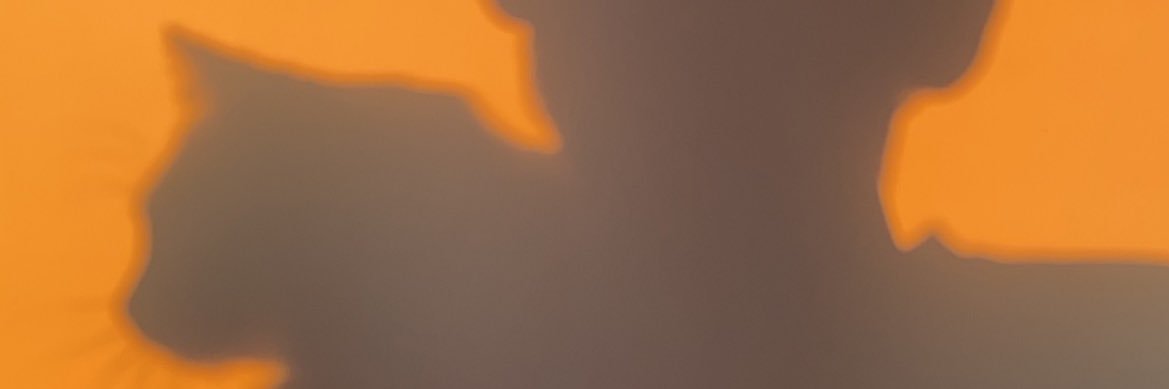 Ik🦁🇫🇷 banner