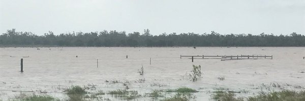 Swm81Murphy Profile Banner