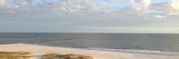 amy_dwilliams Profile Banner