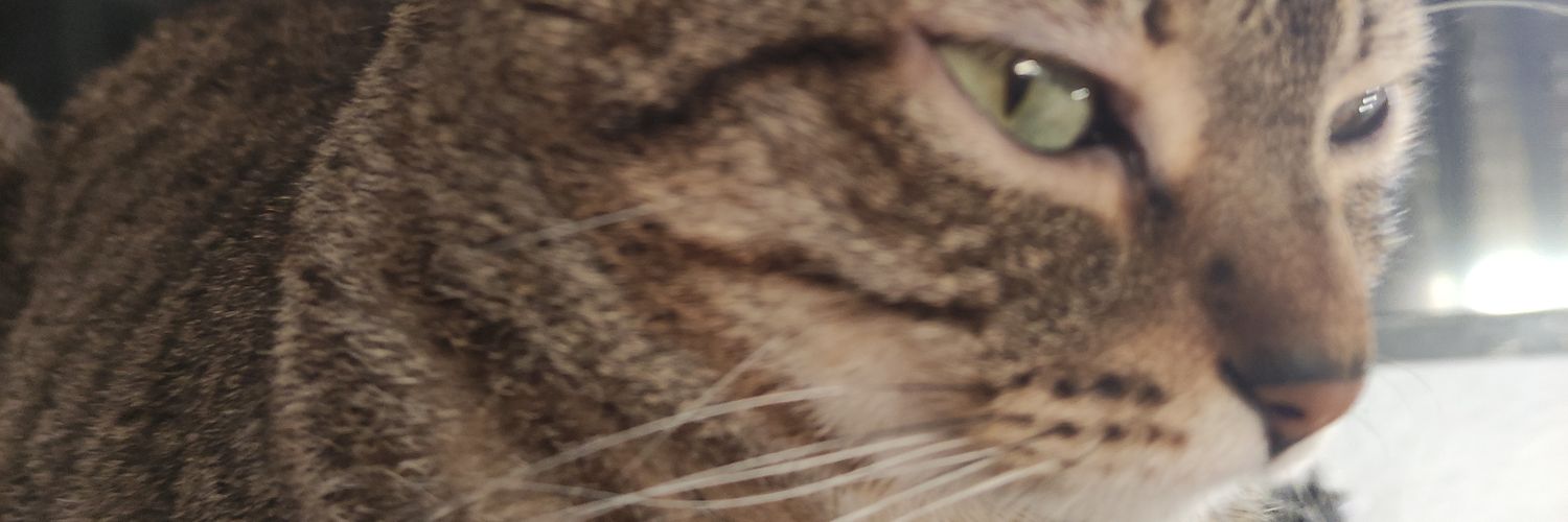 AparicioLAC's profile banner image