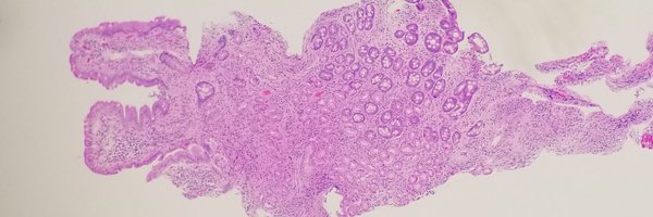 cbsirini Profile Banner