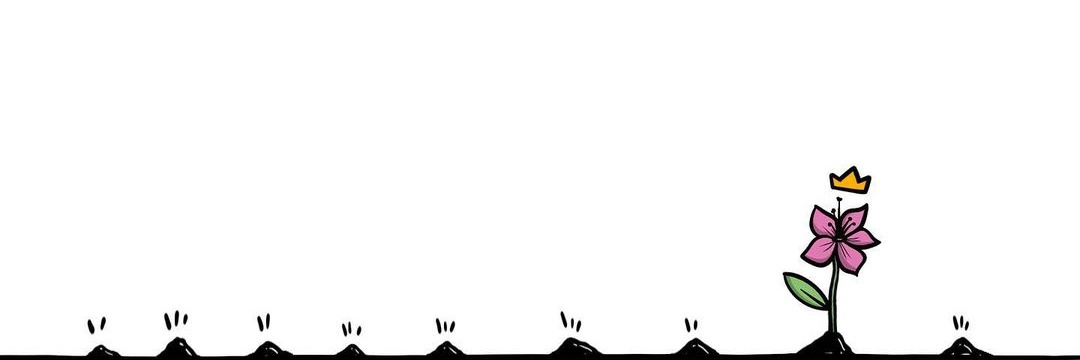 Barbara_NSP's profile banner image