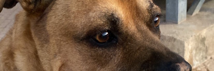 CarlesLiber11's profile banner image