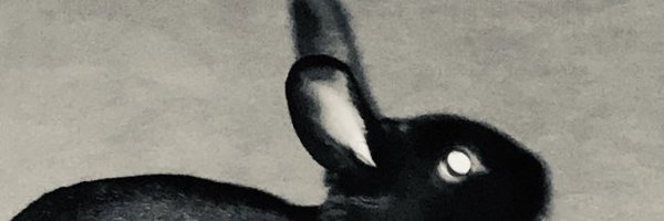 lisasm511 Profile Banner
