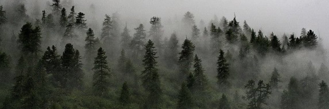 VeraPave_'s profile banner image