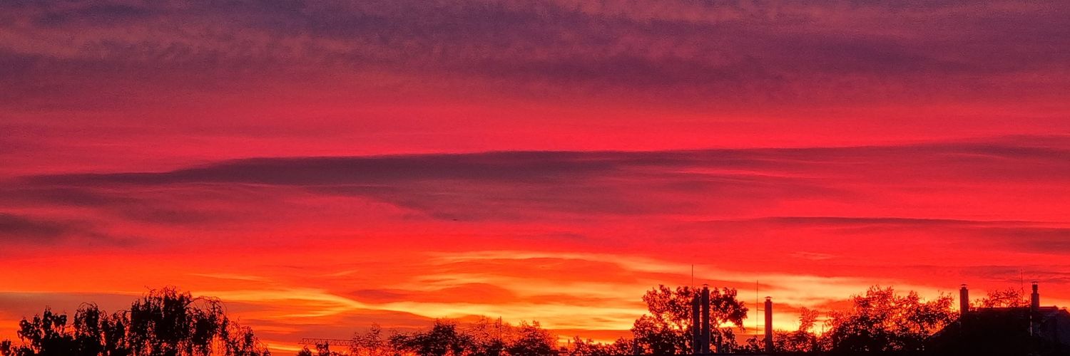 HC4FinFreedom 🐦🦊🐸 banner