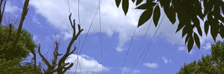 Daysanchez09's profile banner image