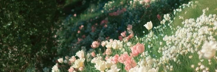 mjjunxx's profile banner image