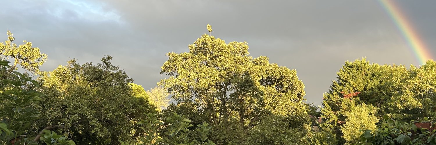 Stuart Diamond banner