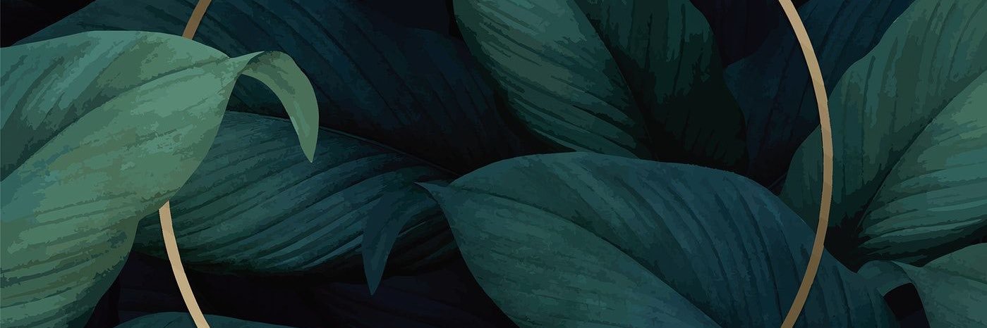 Twitter banner for @lostacctt