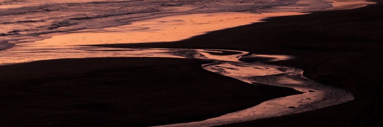 tomarique's profile banner image