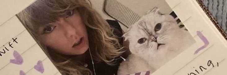 françois⸆⸉ banner