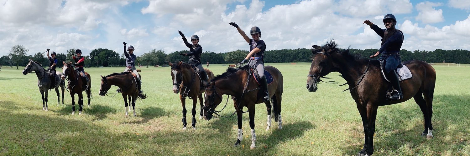 UFequestrian's profile banner image