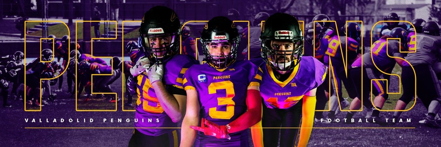 Valladolid Penguins Football banner