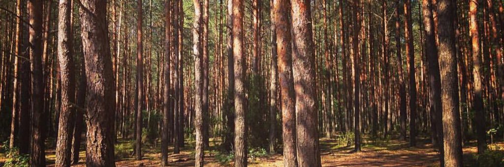 Jasio_jbr's profile banner image