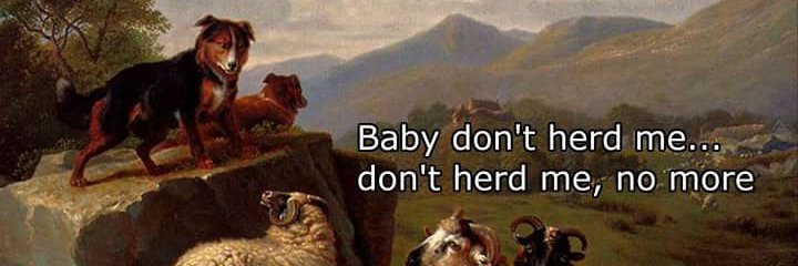 AlexJLowry's profile banner image