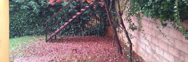 cin_turgut Profile Banner