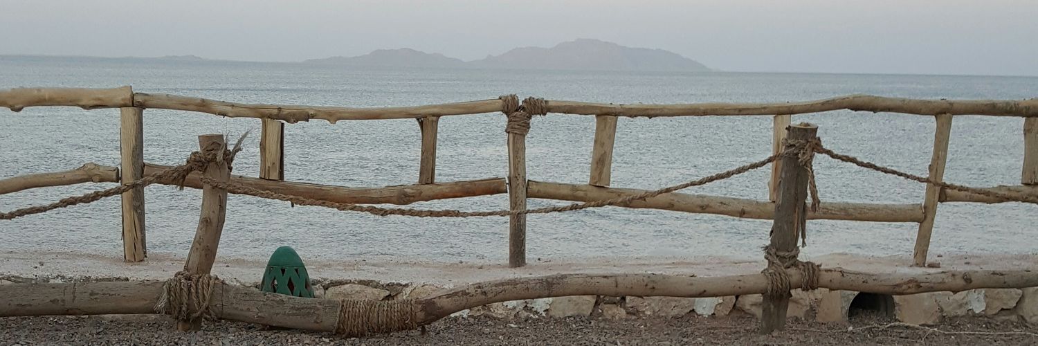 Ayman  El  Mohammadi's banner