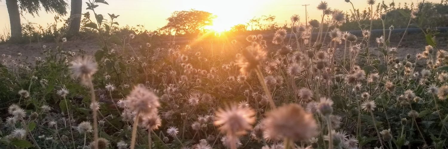 FellipeJRM's profile banner image