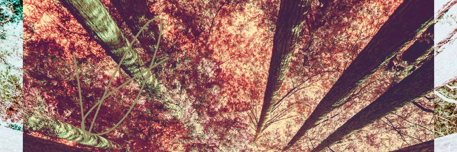 TheOnlyVintage's profile banner image