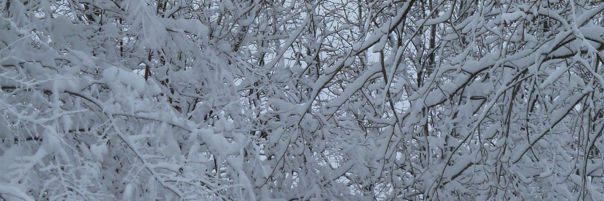 PREVI NEIGE banner