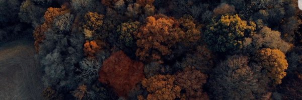 KeziaTomsett Profile Banner