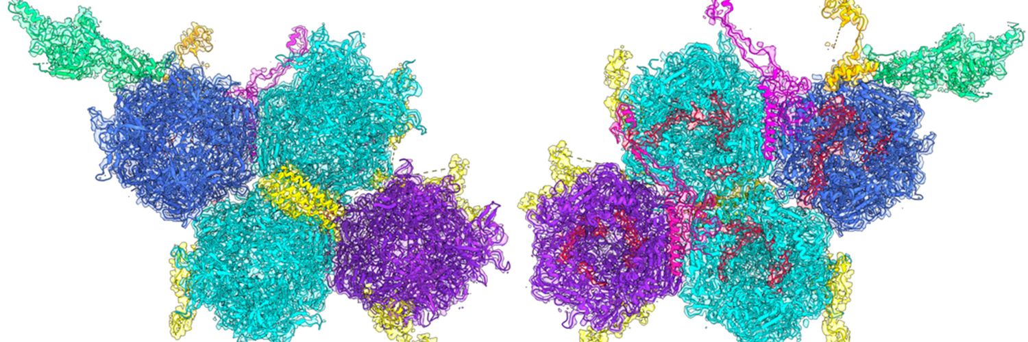 Alexander T. Baker banner