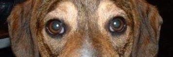 KrysKont15's profile banner image
