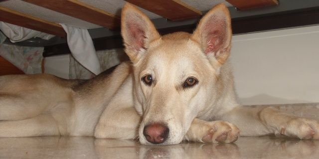 93Neiva's profile banner image