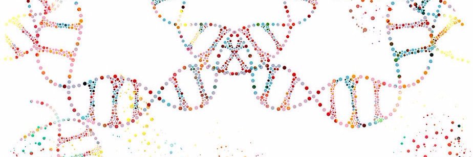 Andrea Forman banner