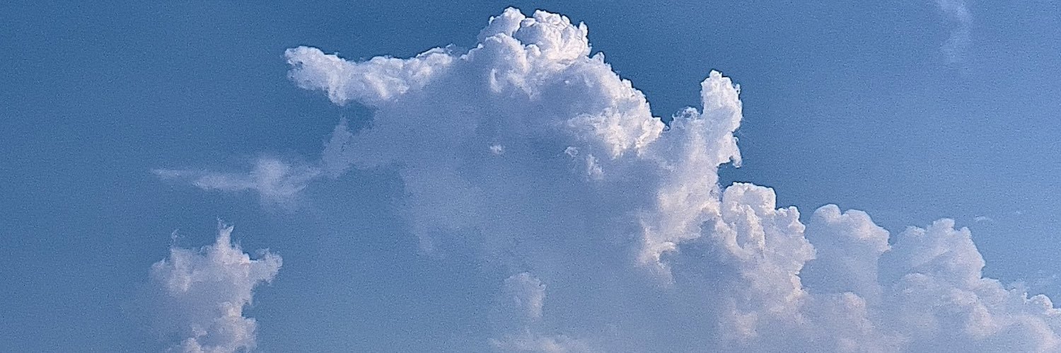 Sonya Méndez banner