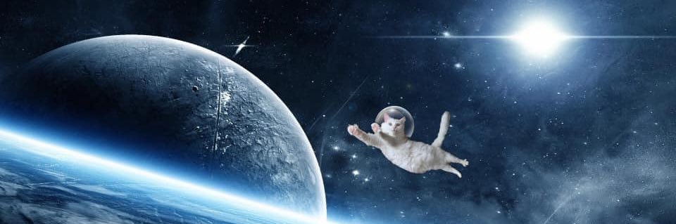 jenkayphilly's profile banner image
