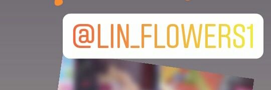 Lin_flowers1's profile banner image