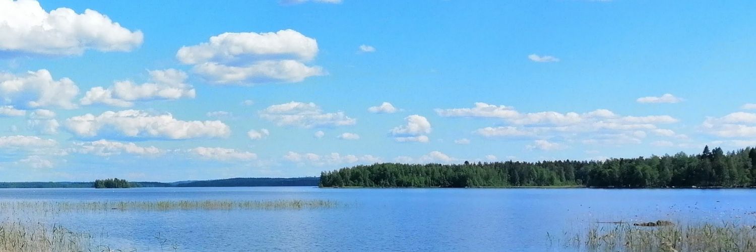 Kaarina Jaakkola 🇪🇺🇫🇮 🦋🌻's banner