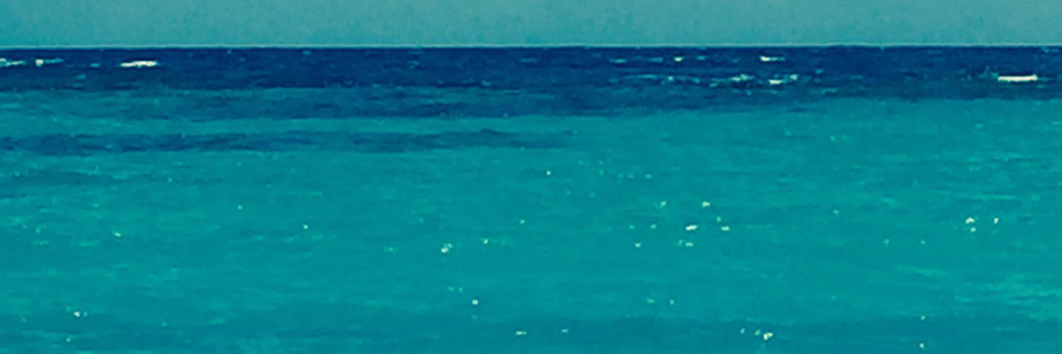 mayfcaldera's profile banner image