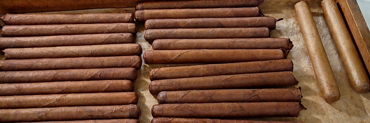 R A G I L || 🍉 banner