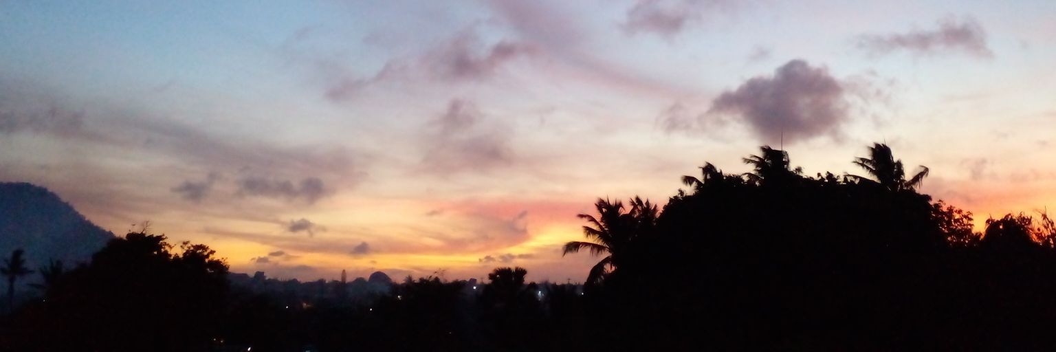 Bibandobida🧚🏼‍♀️ banner