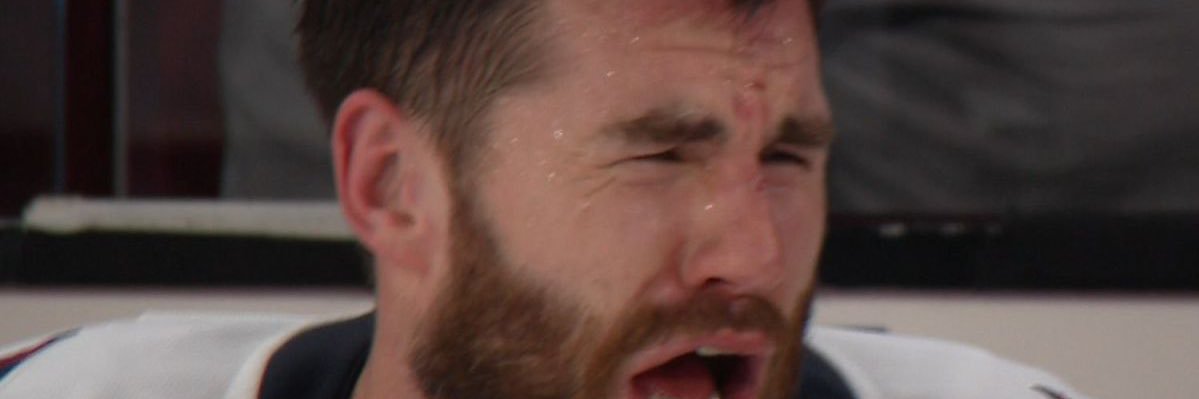 GOOOOO DAWGS! banner