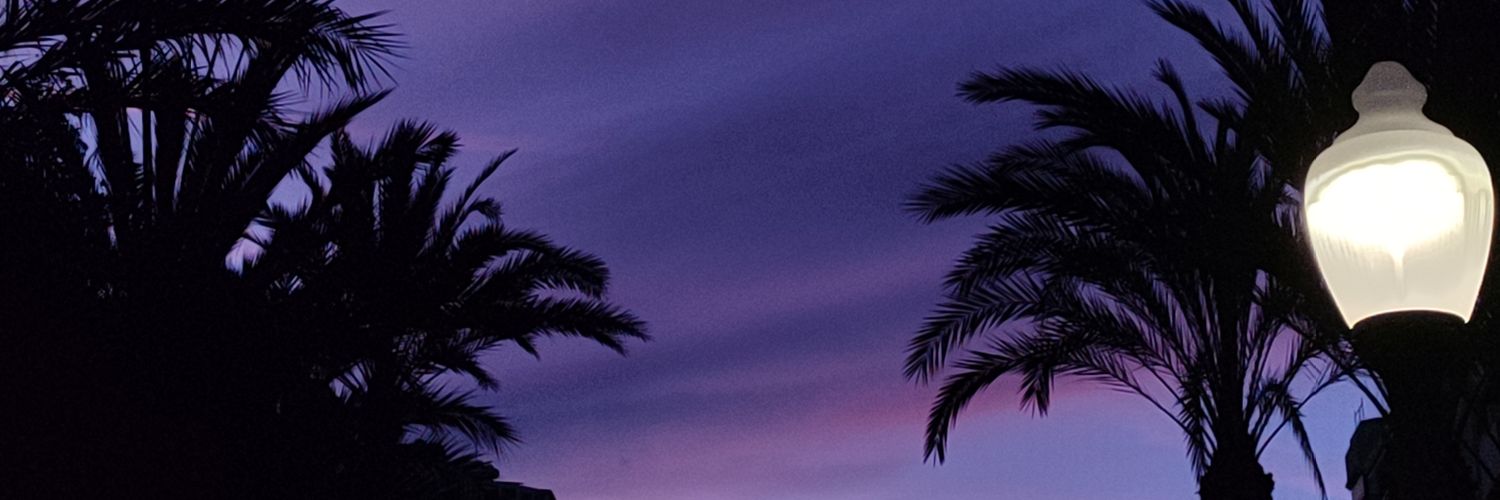 unknown_Miruna's profile banner image
