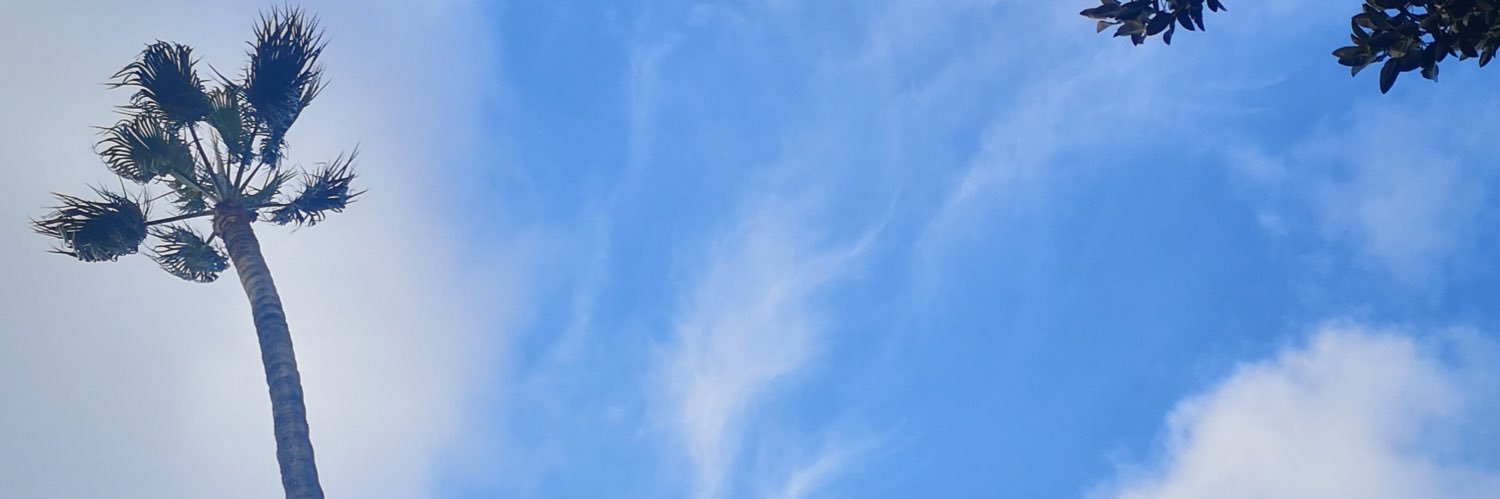 mmeri_01's profile banner image