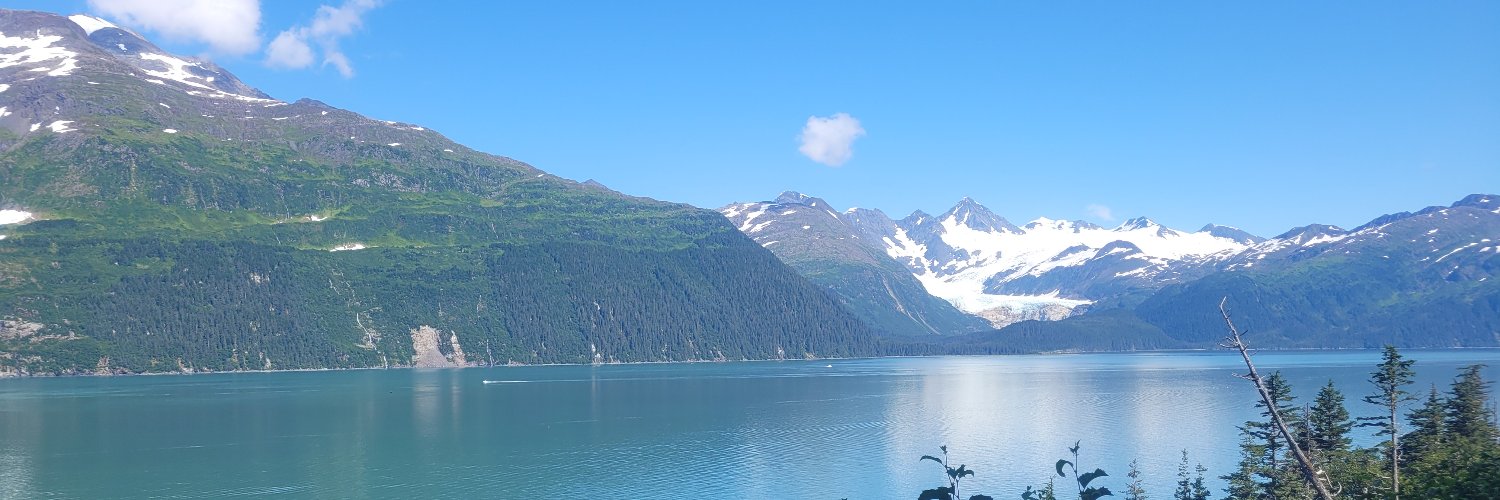 tywuff's profile banner image