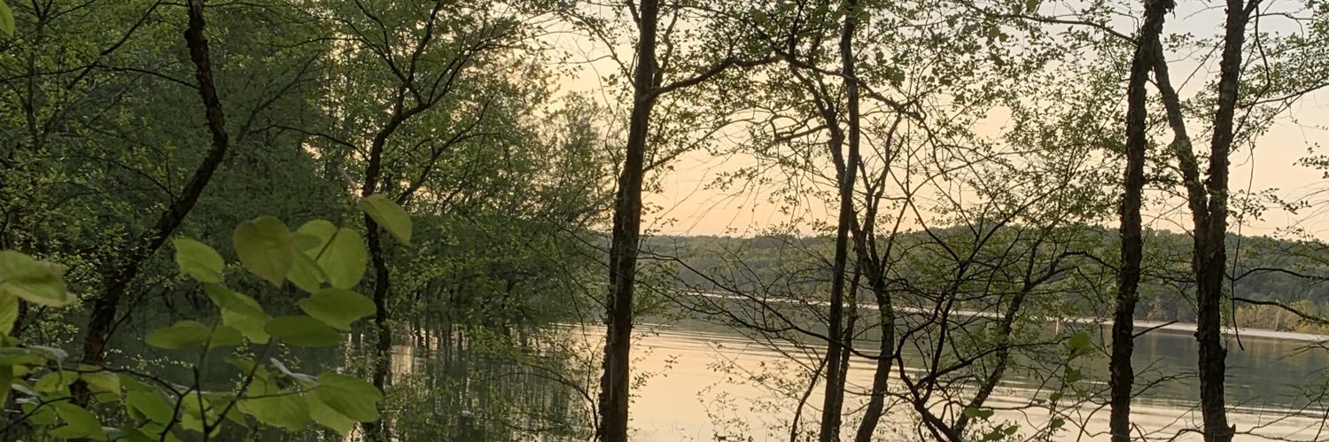 ThisisLukeParke's profile banner image