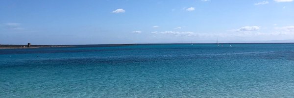 carlymalatskey Profile Banner