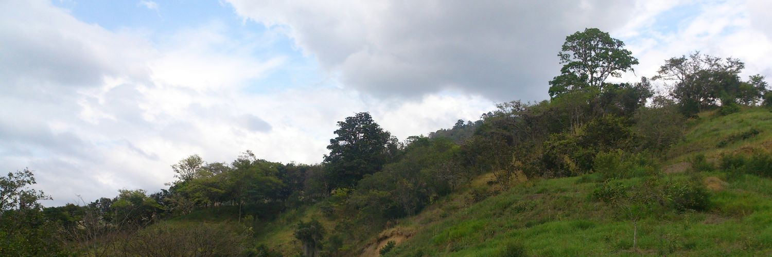 jhon alexander luna banner