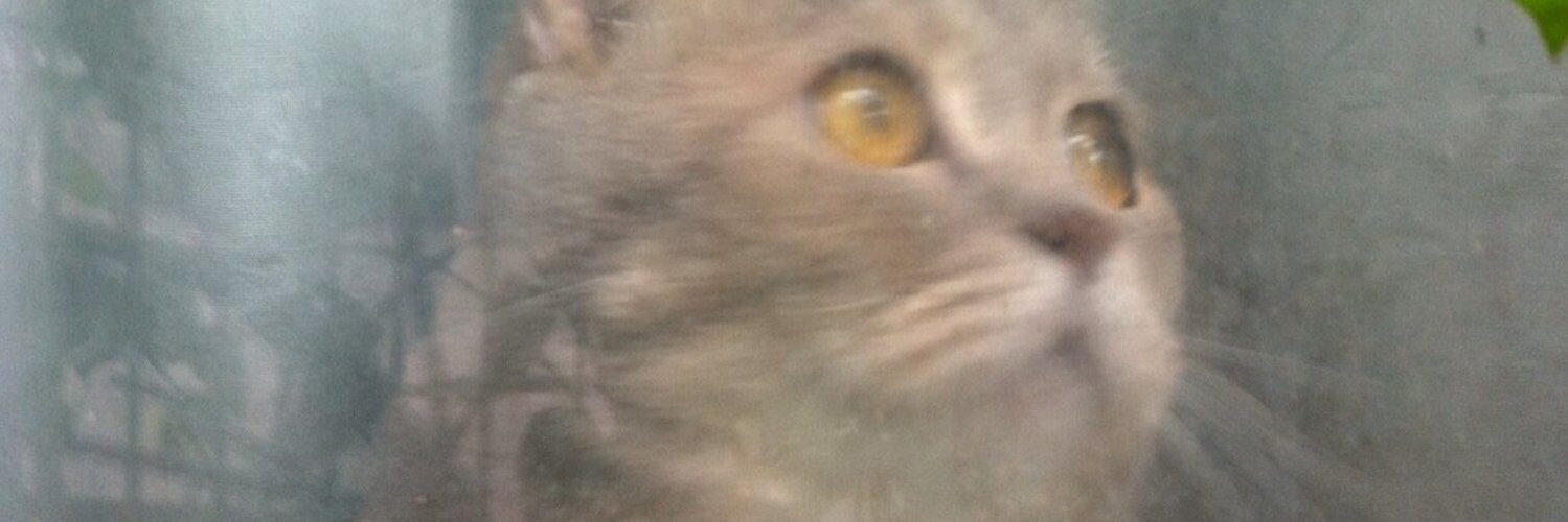 meekob banner